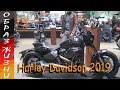 Новинки Harley Davidson 2019