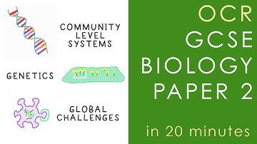 All of OCR BIOLOGY Paper 2 in 20 minutes - GCSE Science Revision (Gateway)