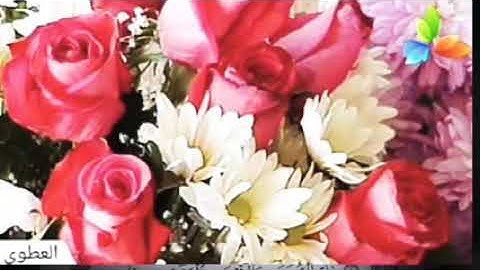 سورة الزمر،، الشيخ صلاح بو خاطر