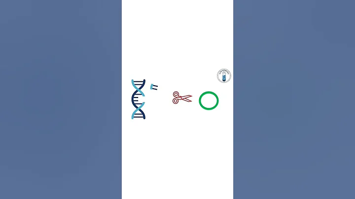 Genetic engineering in 15 second | Recombinant DNA technology - DayDayNews