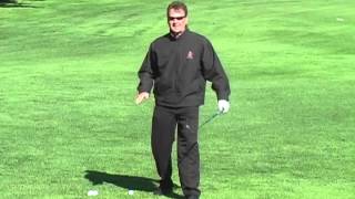 Terry Carter Chip and Run