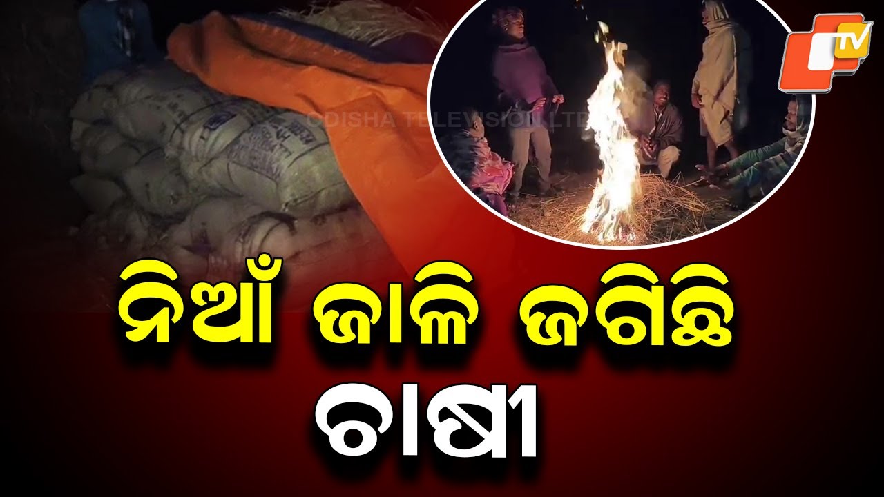 Farmers Guard Paddy All Night as Procurement Delays Continue in Ganjam