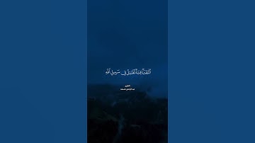 تلاوة هادئة ومؤثرة 🤍 قران كريم بصوت القارئ عبد الرحمن مسعد#اكتب شيء تؤجر عليه