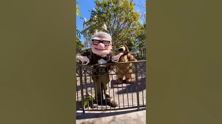 Up - Carl Fredrickson & Dug