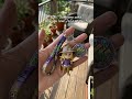 🫵Visit my profile 🔗 to get your custom figurines.No JOJO fan can resist this custom! #snapfig