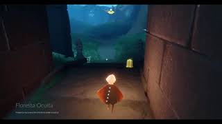 Bug report Sky coft - PC version (Steam)