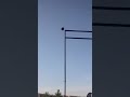 Mike Burke just misses world record to the side