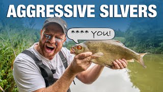 Be More Aggressive When Fishing For Silvers | RodCast | Jamie Hughes and Andy May