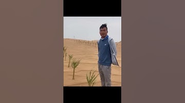 How to make desert green #china