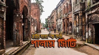 যে শহর হারিয়ে গেছে কালের বিবর্তে || পানাম নগর || Panam City