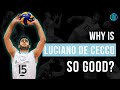 Why is luciano de cecco so good  volleyball coach analysis