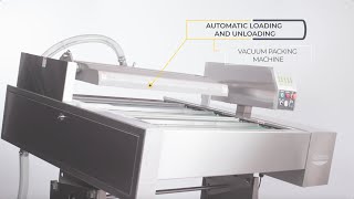 AUTOMATIC LOADING AND UNLOADING VACUUM PACKING MACHINE EVC-A-30 OK