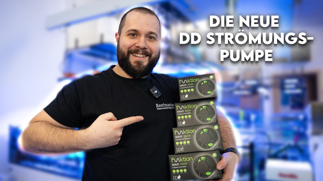 Wie gut ist die NEUE DD Strömungspumpe ? Meerwasser Aquaristik