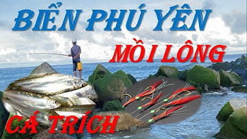 Câu Cá Biển Gần Bờ Bằng Mồi Lông Cực Kỳ Hiệu Quả Bội Cá  - Cá Trích - Cực Kỳ Hấp Dẫn