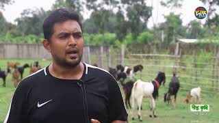 #DeeptoKrishi_C |ছাগল ফেটেনিং অ্যান্ড ব্রিডিং ফার্ম দিয়ে সফলতার মুখ দেখছেন অর্নব ভাই!  || Goat