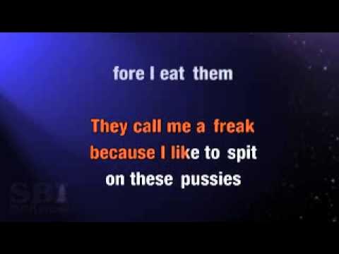 Eminem ft Lil Wayne-No love(karaoke)
