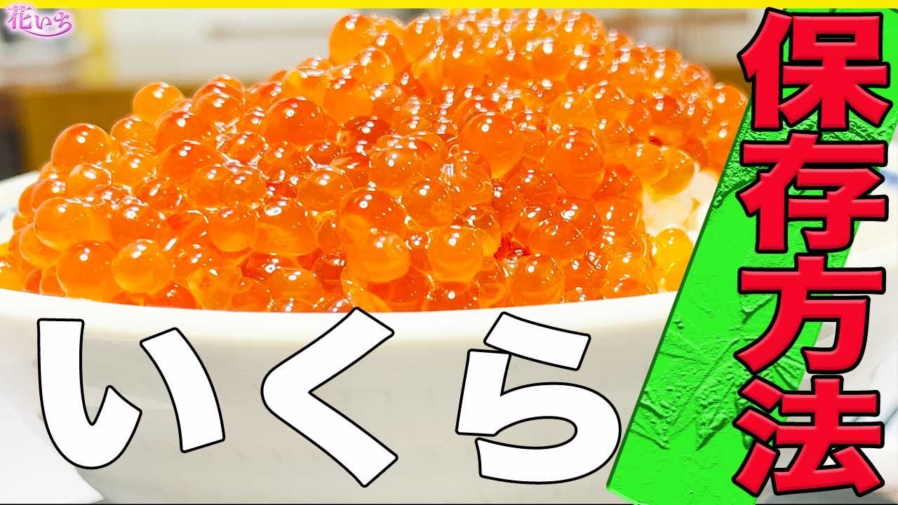 【いくらレシピ】生いくらを冷凍するコツ！保存方法！