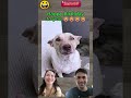 Funny dog &amp; cat moments Pt 2 #funnydog #funny #dogscats #pets #funnyvideo #shorts #usa