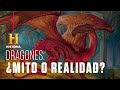 Dragones: ¿leyenda o realidad? | Criaturas Legendarias | Canal HISTORIA