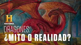 Dragones: ¿leyenda o realidad? | Criaturas Legendarias | Canal HISTORIA