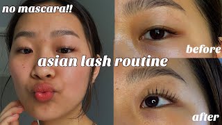 LASH ROUTINE FOR STRAIGHT ASIAN LASHES! :)