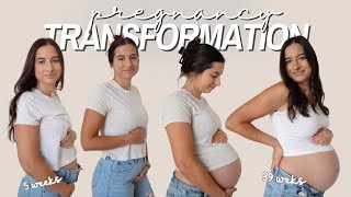 Pregnancy Transformation Week By Week Belly Growth 5-39 Weeks