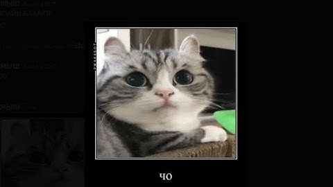 унижал пачку крупы 5 часов | Fragmovie LowRust