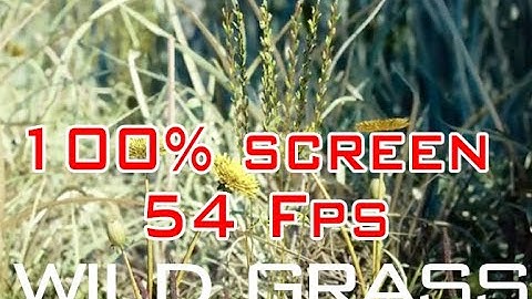 Test Nanite, Lumen and wild Grass huge areas