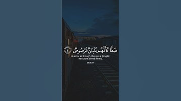 (إن الله يحب الذين يقاتلون في سبيله) القارئ: عبدالرحمن العوسي