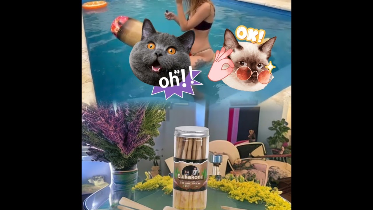 Happy time by the seaside during holidays! 