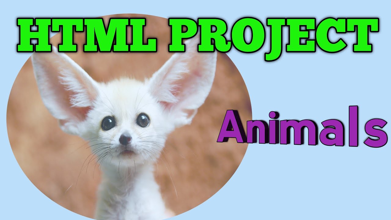 HTML Project Class XII - Computer Application / Computer Science - YouTube