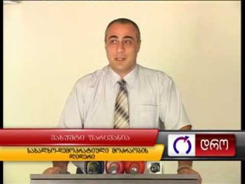 ნესტან კირთაძის დასარეგისრტირებლად ცესკოში 12 ათასი ხელმოწერა იქნა შეტანილი