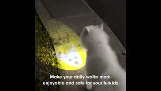 The PawfectBeam - The Night Walker Projection Beam