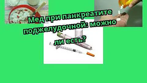 Мед при панкреатите поджелудочной: можно ли есть?