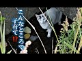 寒波到来!用水路で子育てする親子猫を保護【前編】