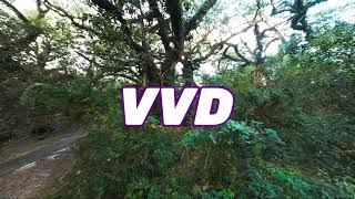 [No CopyRight Music] - Cinematic Fpv Drone Flight | VVD - Whispers Under A Blanket screenshot 3