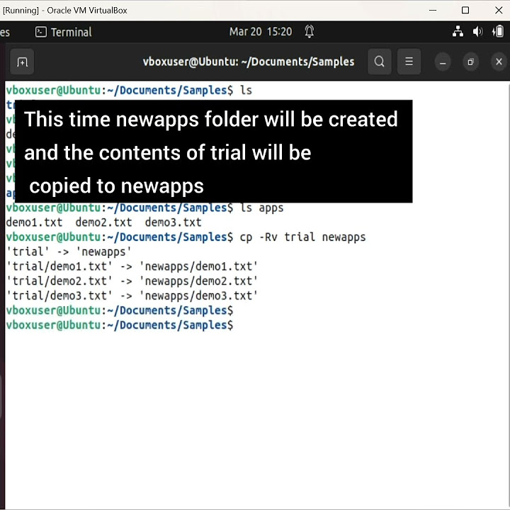 Linux tutorial 10 copying between directories what happens if