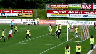 Hallescher FC : VfL Wolfsburg Regionalliga 0:2 2010/2011