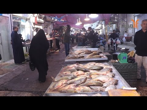 أسعار الغذاء في البصرة جولة مربدية للرصد والمتابعة المربد 