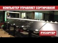 Сортировочная линия РуСортер