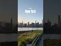 views of New York City 🗽