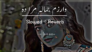 Warzam Jamala Mara Da (Slowed+Reverb) Pashto Song | Sad Song | Lofi Song | New Song 2022 Resimi