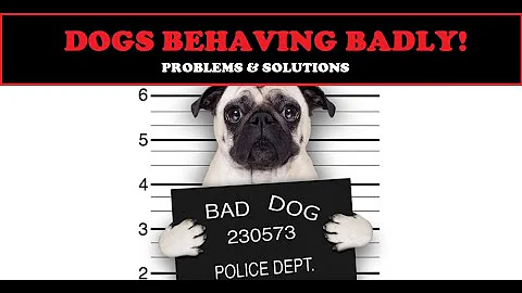 Doggy Dilemmas! 10 Common Behavior Problems and How to Fix Them! #dog #doglover #viral