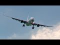 Самолет расшатало. Airbus A330 - Заход враскачку / Аэропорт Внуково 2021