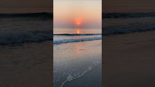 🌿"Peaceful nature sounds for human"#nature#beach# shorts#relaxing