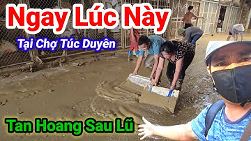 12h Đột Nhập Vào Tâm Lũ Chợ Túc Duyên – Cảnh Bà Con Dọn Lũ Khiến Ai Cũng Lạnh Người!