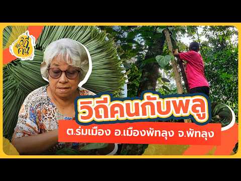 Betel Leaf and Human Ways, Rom Mueang Subdistrict, Mueang Phatthalung District, Phatthalung Provi...