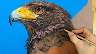 How to Draw a Bird Pastel Pencils + PanPastels - My Top Tips