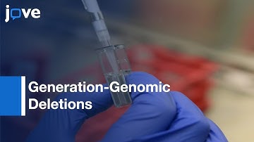 Generation-Genomic Deletions: Mammalian Cell Lines Via CRISPR/Cas9 l Protocol Preview