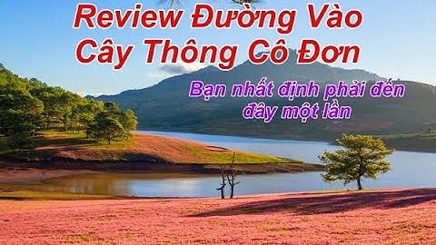 Review ĐƯỜNG VÀO CÂY THÔNG CÔ ĐƠN, Đường  trạm kiểm lâm, đường khó đi #nhaovadulich #ngoinhamouoc